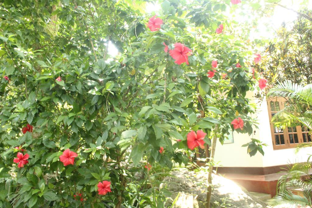 Dionis Villa Unawatuna Dış mekan fotoğraf