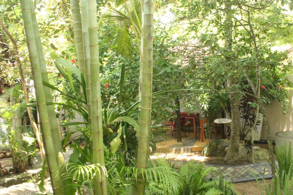 Dionis Villa Unawatuna Dış mekan fotoğraf