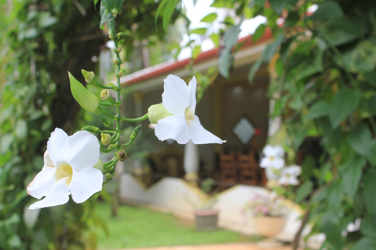 Dionis Villa Unawatuna Dış mekan fotoğraf